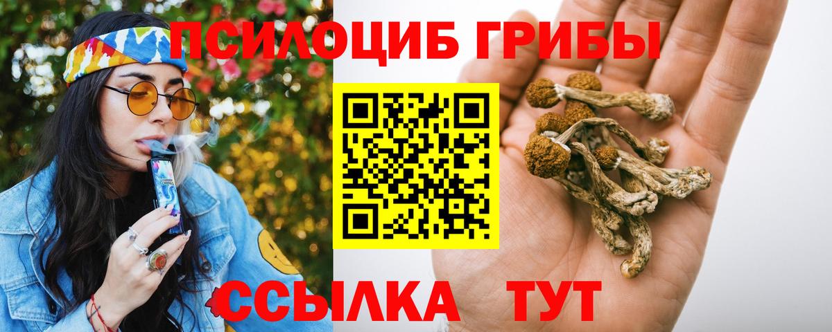 Галлюциногенные грибы MAGIC MUSHROOMS  как найти   Астрахань  Вход с VPN 